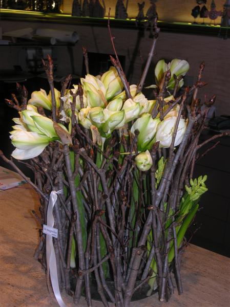 centres i rams de flors la magnolia