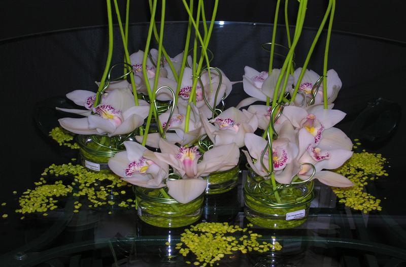centres i rams de flors la magnolia