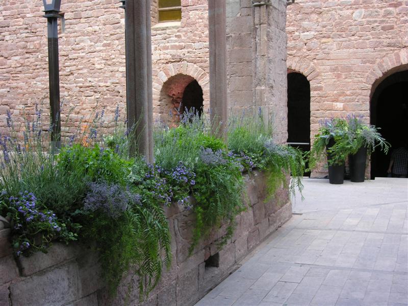 manteniment de jardins i terrasses